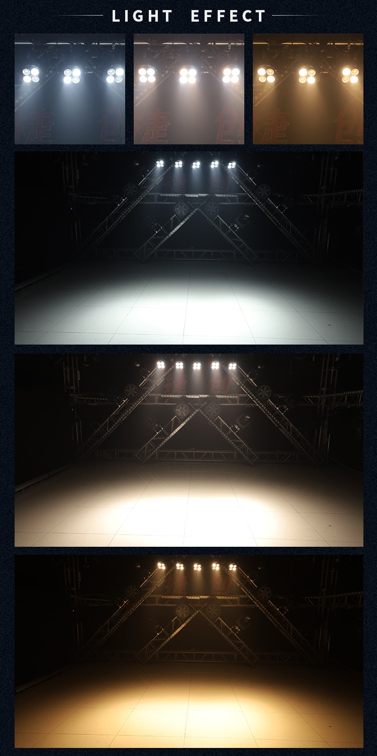 WATERPROOF 4 EYES COB PAR LIGHT(PRIVATE MODEL)